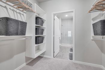A white closet with a mirror and shelves.